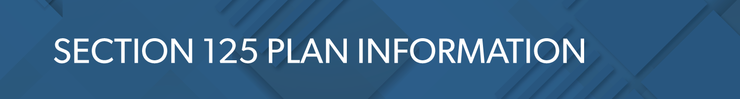 S125PlanInfo Section 125 Plan Info