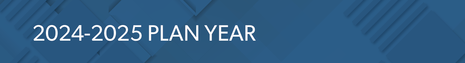 2024-25 Plan Year Garland ISD