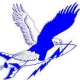 Randolph Field logo