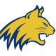Medina ISD - 2024 Plan Year