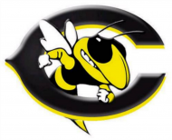 Coolidge ISD - 2024 Plan Year