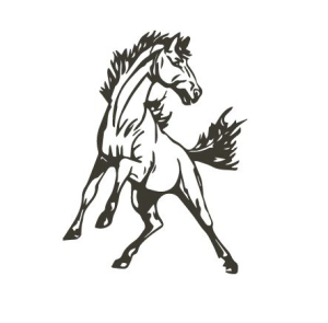 Marathon ISD - 2025 Plan Year