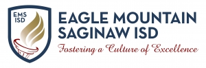 Eagle Mountain Saginaw ISD - 2025 Plan Year