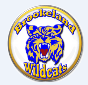 Brookeland ISD - 2025 Plan Year