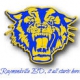 Raymondville ISD - 2025 Plan Year